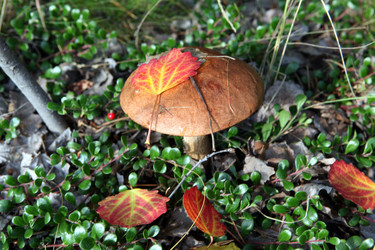 Similar image 263190