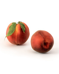 Similar image 263206