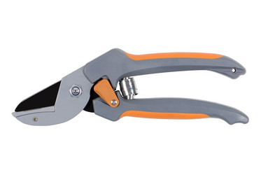 Similar image 263217