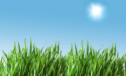 Similar image 263231