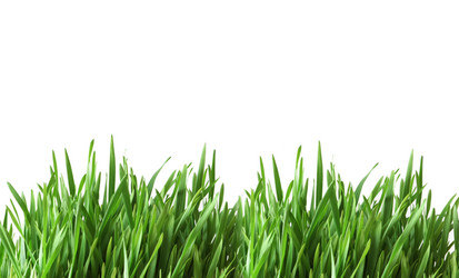 Similar image 263233