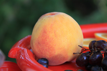 Similar image 263236