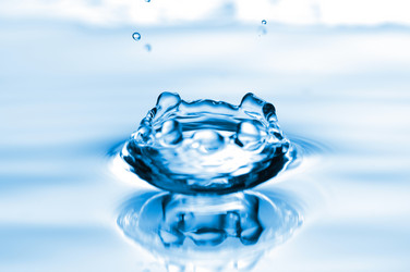 Similar image 263322