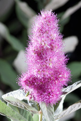 Similar image 263329