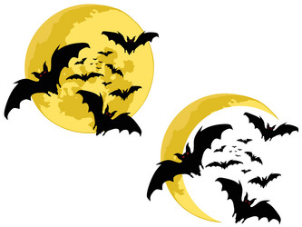 Similar image 263331