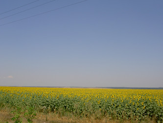 Similar image 263341