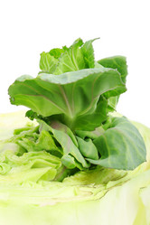 Similar image 263352