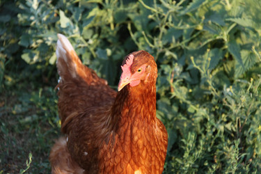 Similar image 263368