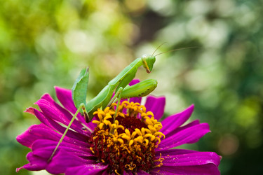 Similar image 263370