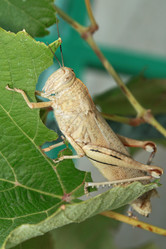 Similar image 263393