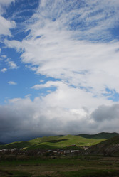 Similar image 263395