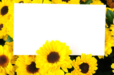 Similar image 263477