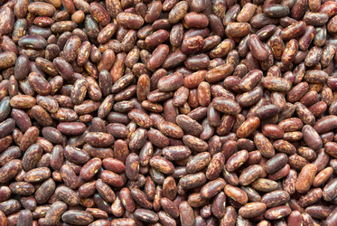 Similar image 263515