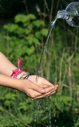 Similar image 263549