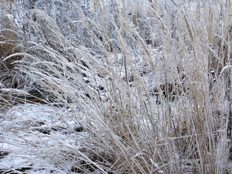 Similar image 263619