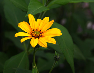 Similar image 263623