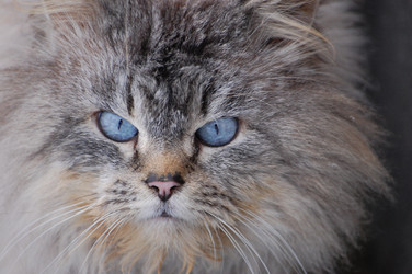 Similar image 263657