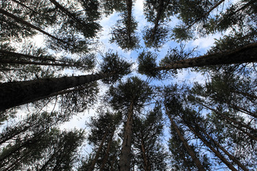 Similar image 263658