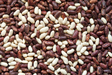 Similar image 263665