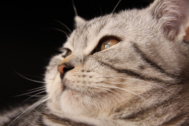 Similar image 263711