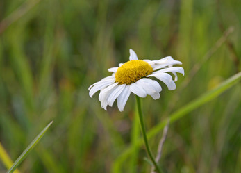 Similar image 263756