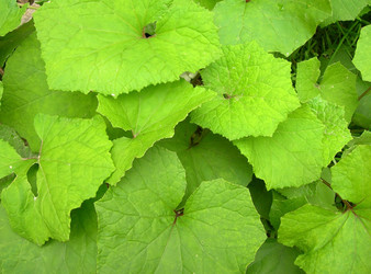 Similar image 263759