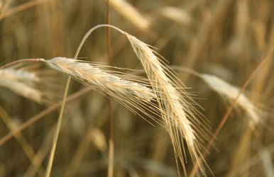 Similar image 263765