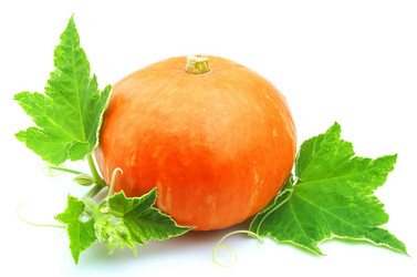 Similar image 263877