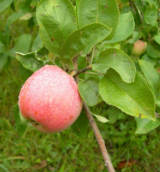 Similar image 263880