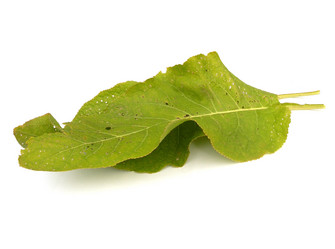 Similar image 263886