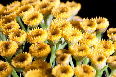 Similar image 263899