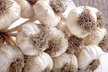 Similar image 263968