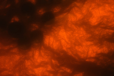 Similar image 264068