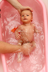 Similar image 264081