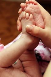 Similar image 264082