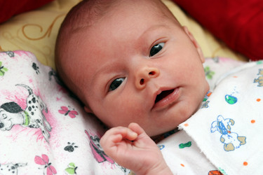 Similar image 264089