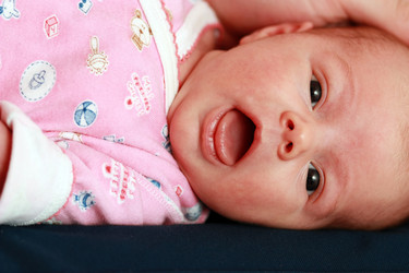 Similar image 264090