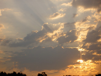 Similar image 264091