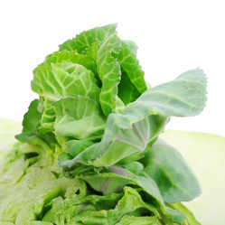 Similar image 264095