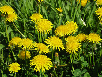 Similar image 264098