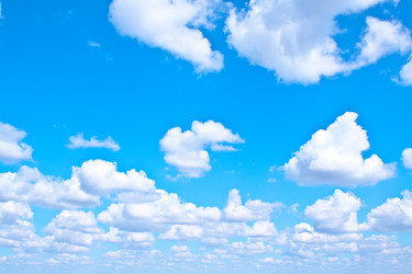 Similar image 264111