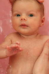 Similar image 264121