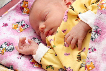 Similar image 264133