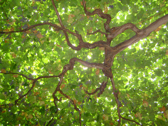 Similar image 264146