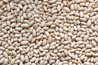 Similar image 264152