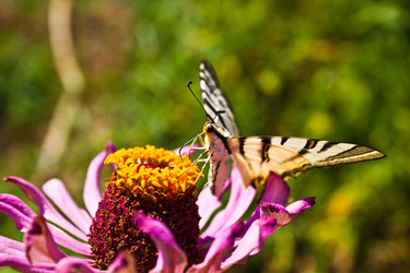 Similar image 264161