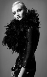 Similar image 264166