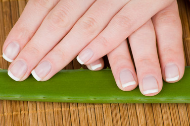 Similar image 264170