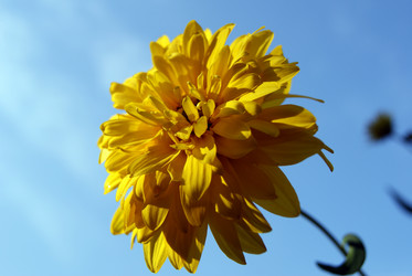 Similar image 264199