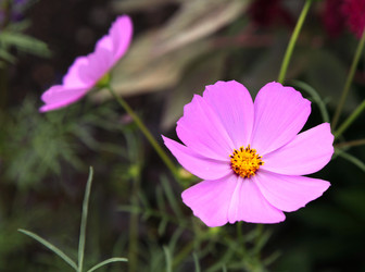 Similar image 264203